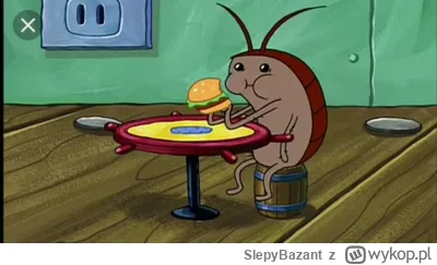 SlepyBazant - @PogromcaPatusow: