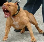 RenkaRenkeMyje - Wykop już obalał deweloperów, rządy, acta i inne gówna, może czas zr...