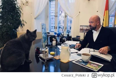 Cesarz_Polski - #kotekwrocek #wroclaw
