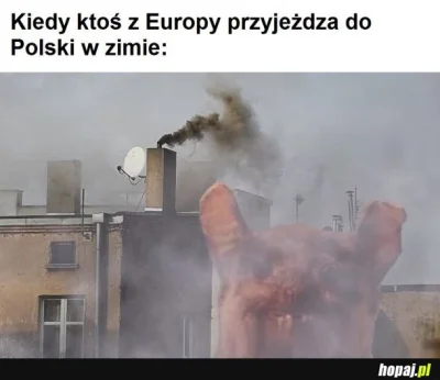 P4ncak3 - Przyjechałem na początku tygodnia do Polski, żeby spędzić trochę czasu ze s...