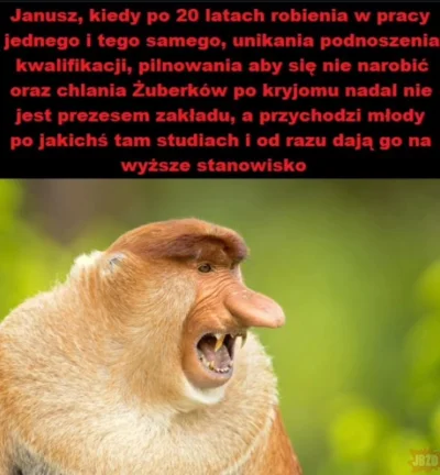 HrabiaTruposz - #konkursnanajbardziejgownianymemznosaczem