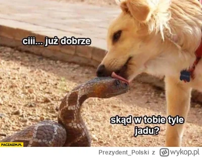 Prezydent_Polski - @gryyyn: już dobrze