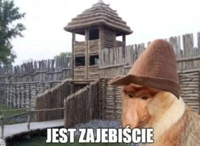 ufoLatajace - Wspaniała piłka z naszej strony! TOP Europy a może i świata 
#mecz