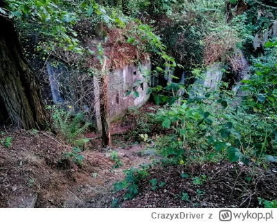 CrazyxDriver - Fort 50 Prokocim