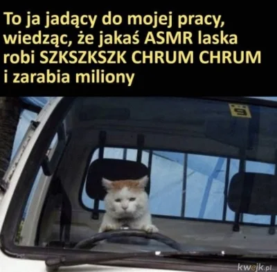 jatutylkonamoment - #codziennykitku