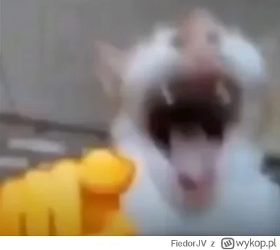 FiedorJV - Wyśmiewanie interistów to nie tylko przyjemność ale i obowiązek #juventus ...