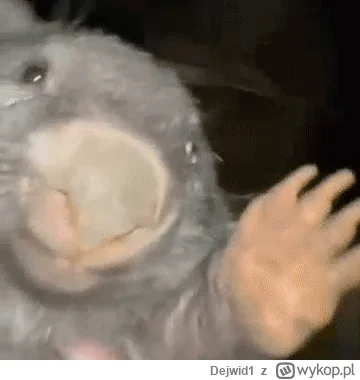 Dejwid1 - #kikiswiat 

Kiki jak kupi działkę z bobrami xD