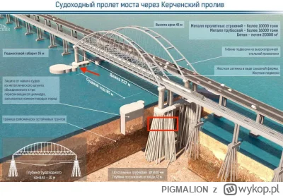 PIGMALION - Tak wygląda Most Krymski „w przekroju” i jego rzeczywiste wysadzone podpo...