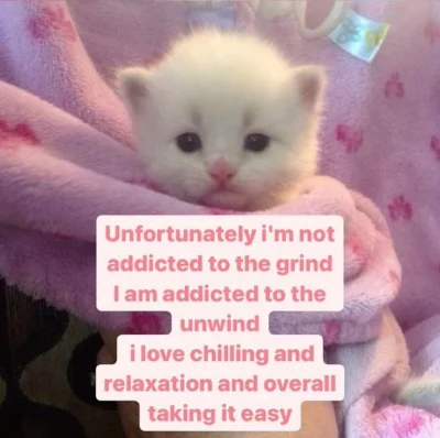 Konrad2114 - Czeba wstać i zrobić gorącą czekoladę