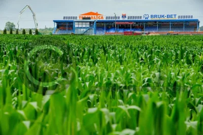 ByleNaPlusie - Hymn Ligi Mistrzów na Stadionie w Niecieczy, Real Madryt a w tle pola ...