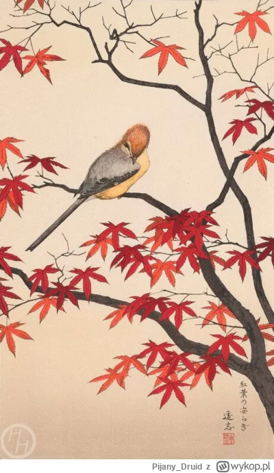 Pijany_Druid - #przegryw 
Smutek prowadzi do nienawiści.
Nienawiść prowadzi do cierpi...