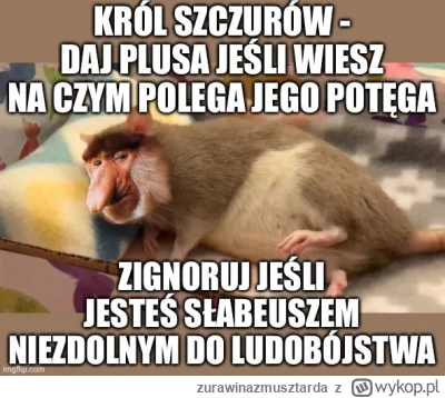 zurawinazmusztarda - jeden plus jeden wir jeden żul szczurów #konkursnanajbardziejgow...