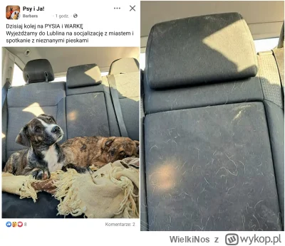 WielkiNos - @rozrabiam wystarczy zajrzeć do środka żeby od razu poznać, że auto należ...