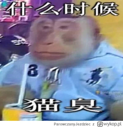 ParowczanyJezdziec - @CherryJerry: @GOHAN Ja gdy zjem pomidorową z ryżem