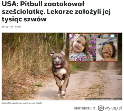 ofiaralosu - #pitbull Fafik to ulubieniec naszej (pato) rodziny. To posłuszny i skory...