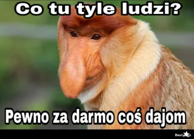 Przegrywzyciowy0