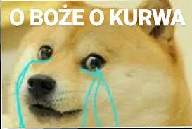 Krole - Wykop zapowiada zmiany, wykopki: