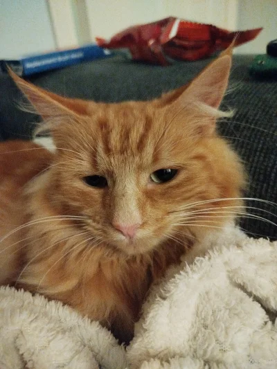 BaNaJaGa - Mieszkam w Irlandii i jakiś czas temu zgłosiłem to tutejszego TOZu że mam ...