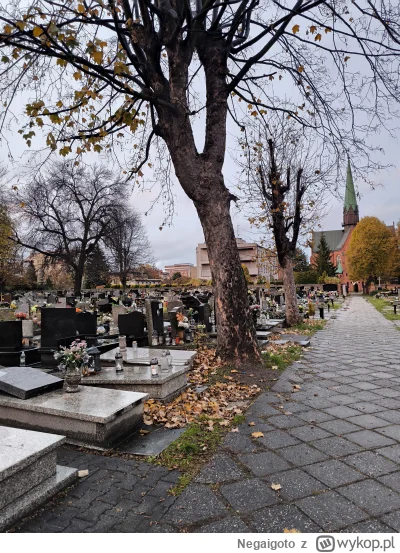 Negaigoto - @typowy_zielonek: Aktualizacja na dziś: 
Na dzień dzisiejszy parafia uprz...