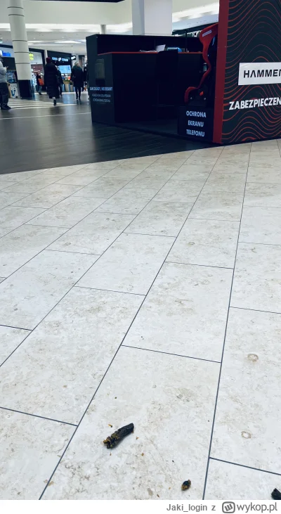 Jaki_login - #wroclaw, #magnoliapark, #psy, #gownoburza, #zakupy

Co tu się w Magnoli...