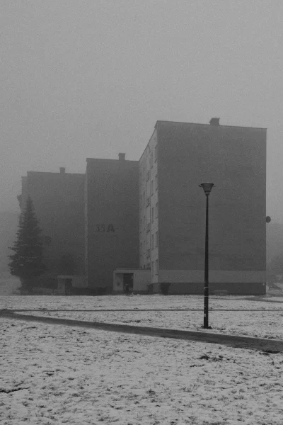 adam-nowakowski - Już niedługo takie barwy zdominują polski krajobraz.