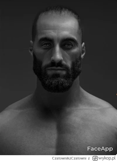 CzatownikzCzatowni - Jeszcze raz! W----------z na Urzędniczą! Kuuurrrrwa

#danielmagi...