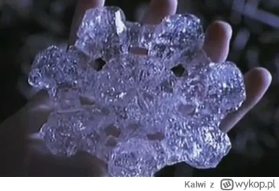 Kalwi - Kolejny tajemniczy obiekt znaleziony w New Jersey

#ufo #usa