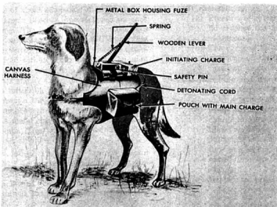 POPCORN-KERNAL - Psy na II wojnie światowej.

"Psy-miny były zagrożeniem nie tylko ob...