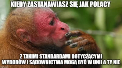 SebastianDosiadlgo - Raport z #ukrainizacja Wrocławia:
Kto mieszka we Wrocławiu ten s...