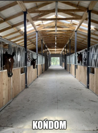 bajo18 - #heheszki #humorobrazkowy #pasjonaciubogiegozartu