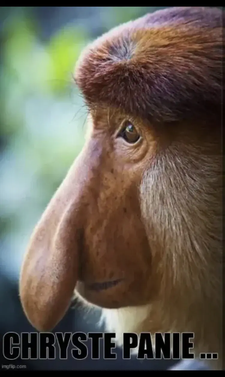 robertx - @Alessandro: