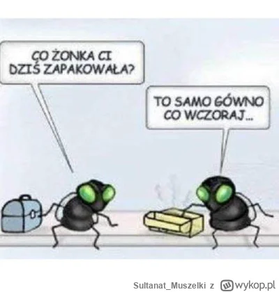 Sultanat_Muszelki - #humorobrazkowy #pasjonaciubogiegozartu