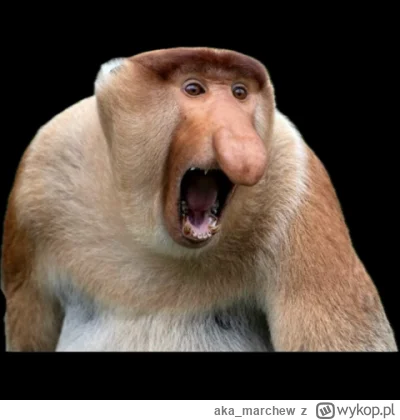 aka_marchew - Kurłaaa co to za nowa apka wykop ??