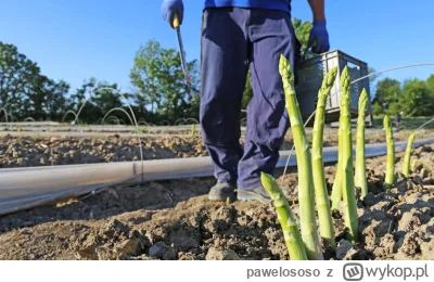pawelososo - W kontekście wydarzeń ostatnich tygodni tyle się mówi o Mar-a-Lago Accor...