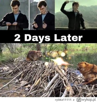 rybka11111 - @anoysath