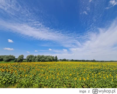 inga - Klimaty Polesia w ten weekend ;) Tutaj naprawdę niczego nie ma. #turystyka #po...