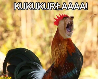 pioter_ciemiezca - #konkursnanajbardziejgownianymemznosaczem 
Wstawać kurłaa