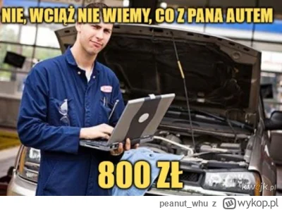 peanut_whu - Halo mirko #poznan, poszukiwany mechanik, najlepiej gdzieś na południu, ...