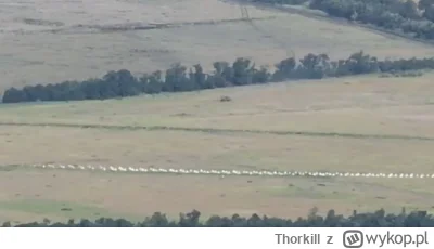 Thorkill - Wojska ukraińskie dotarły w rejonie wioski Verbove (47.448186, 35.929463) ...