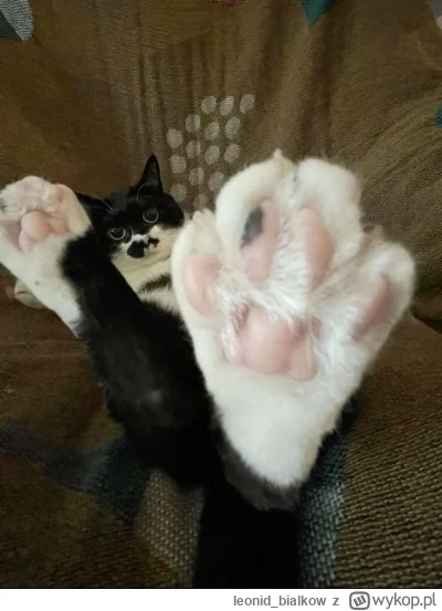 leonid_bialkow - NA ROZKWIECONEJ ŁONCE NAD WODOM ZIELONOM