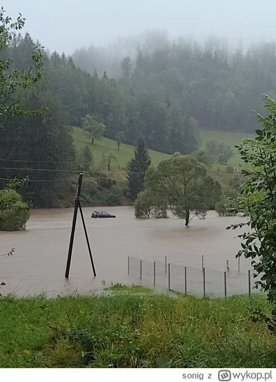 sonig - u mnie sytuacja jest bardzo kiepska, mieszkam na górce i widzę zalane domy i ...