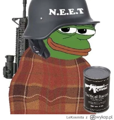 LeKosmita - Pora zacząć kolejny dzień ( ͡º ͜ʖ͡º)

#neet