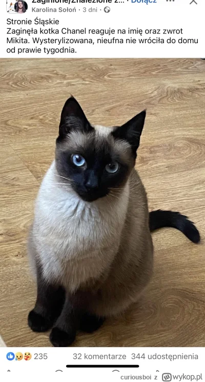 curiousboi - Chanel Makita, czyli mąż tej kobiety jest budowlańcem a ona wydaje hajs ...