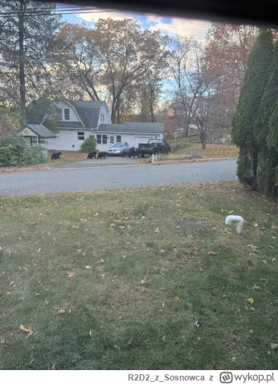 R2D2zSosnowca - @R2D2zSosnowca tak czy inaczej sąsiedzi bardzo dziwnie się ostatnio z...