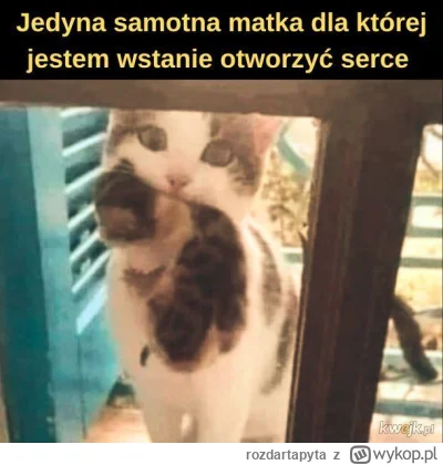 rozdartapyta - @Timer_555: ( ͡° ͜ʖ ͡°)