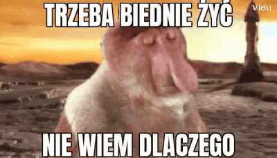 kinson - #konkursnanajbardziejgownianymemznosaczem #vidu