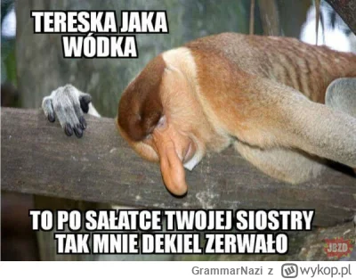 GrammarNazi - @Ustrojstwo