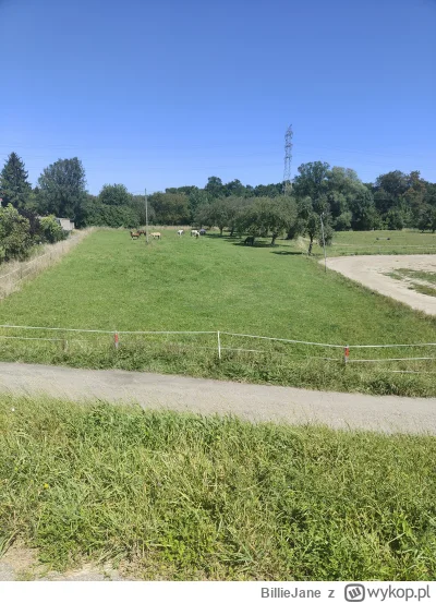 BillieJane - 460 360 + 35 = 460 395

Kurde wiało
I konie się załapały 

#rowerowyrown...