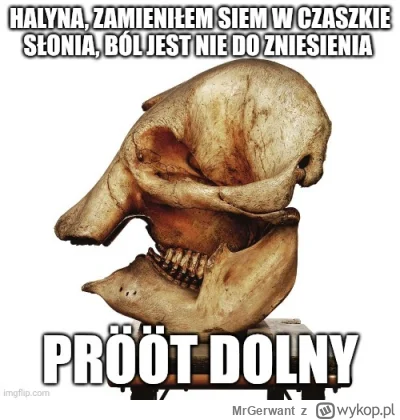 MrGerwant - #konkursnanajbardziejgownianymemznosaczem pjoter, skiknij tatusiowi na tr...