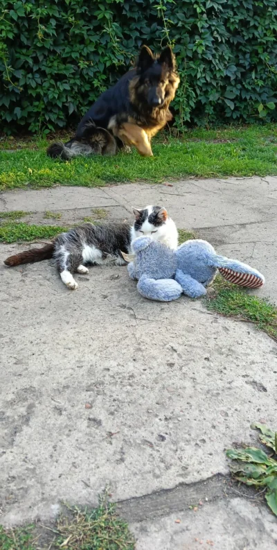 cornel9192 - @cornel9192: